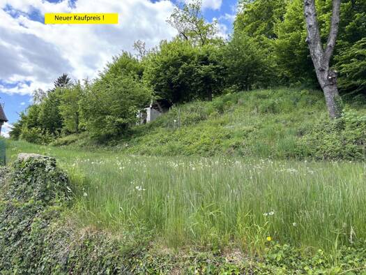 Grundstück zum Kauf 70.000 € 678 m² Grundstück Berlebeck Detmold 32760