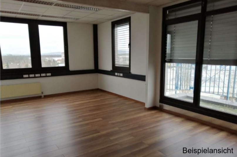 Bürofläche zur Miete 5.500 m²<br/>Bürofläche ab 2.000 m²<br/>Teilbarkeit Hockenheim 68766