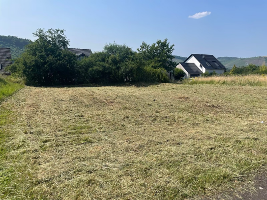 Grundstück zum Kauf 165.000 € 500 m² Grundstück Wiltingen 54459