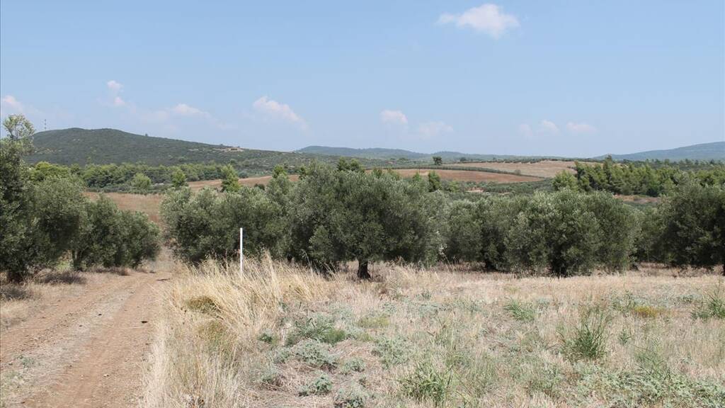 Land-/Forstwirtschaft zum Kauf 100.000 € 6.915 m² Grundstück Chalkidiki