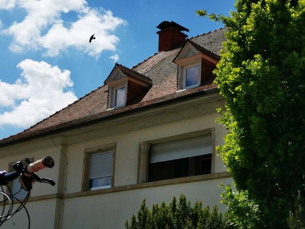 Doppelhaushälfte zum Kauf provisionsfrei 499.000 € 12 Zimmer 220 m² 628 m² Grundstück frei ab 01.10.2026 Hermannstraße 62 Wörrstadt Wörrstadt 55286