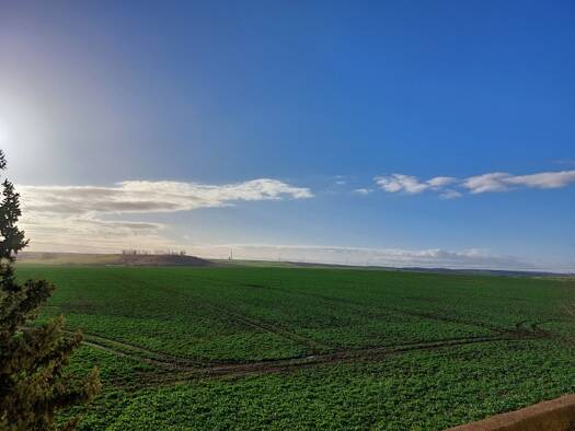 Wohnung zur Miete 294 € 2 Zimmer 49 m² 1. Geschoss Leihaer Straße 80A Roßbach Braunsbedra OT Roßbach 06242