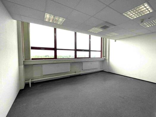 Bürofläche zur Miete provisionsfrei 6 € 15 Zimmer 553,2 m² Bürofläche Holzhäuser Straße 120 Stötteritz Leipzig 04299