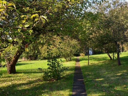 Mehrfamilienhaus zum Kauf 239.000 € 9 Zimmer 226 m² 1.604 m² Grundstück Osterode Osterode am Harz 37520