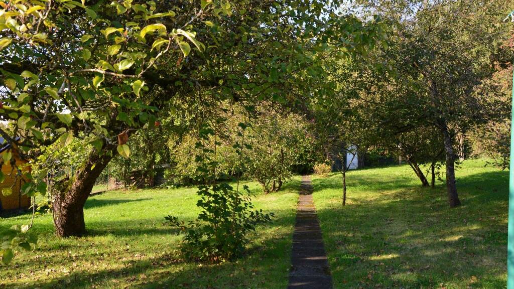 Mehrfamilienhaus zum Kauf 239.000 € 9 Zimmer 226 m² 1.604 m² Grundstück Osterode Osterode am Harz 37520