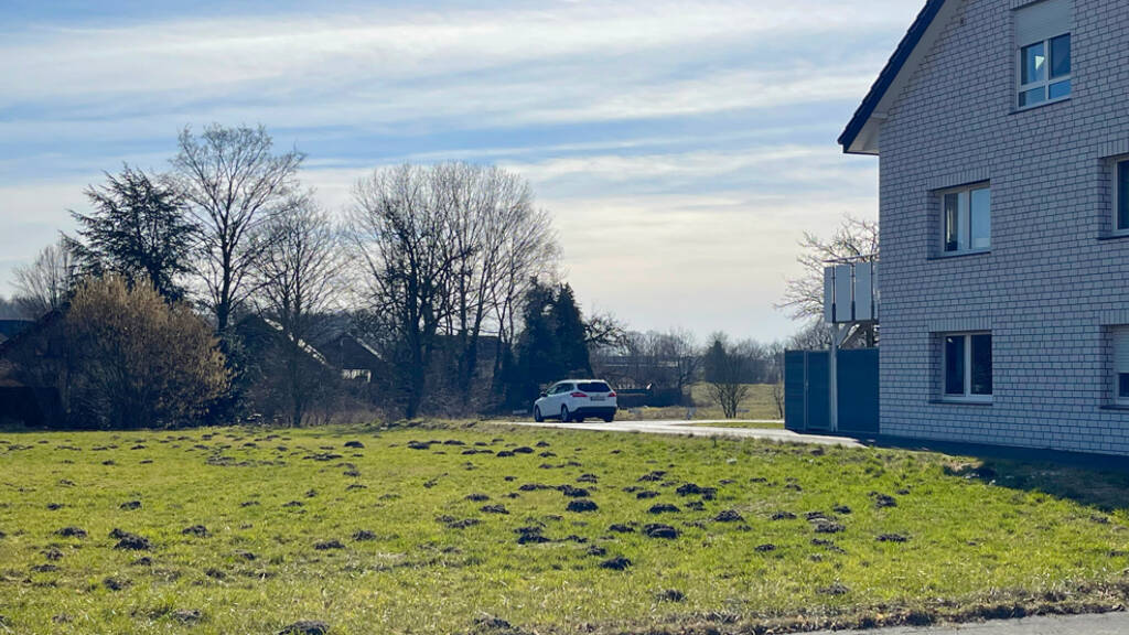 Doppelhaushälfte zum Kauf 449.000 € 4 Zimmer 120,6 m² 320 m² Grundstück Elsen Paderborn 33106