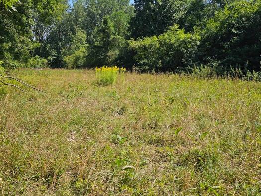 Forstwirtschaft zum Kauf provisionsfrei 20.000 € 3.400 m² Grundstück Großmehring Großmehring 85098
