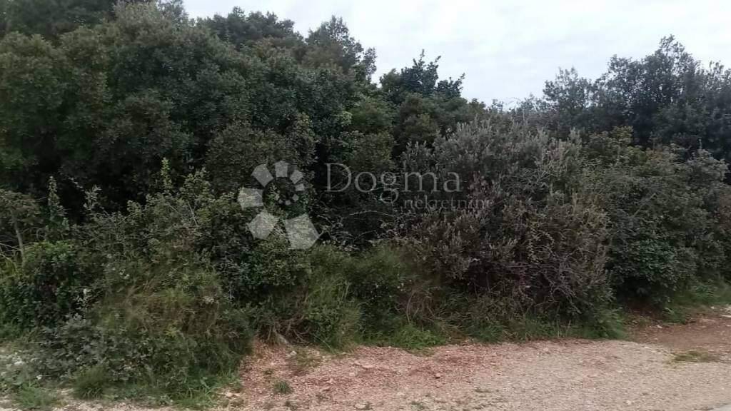 Land-/Forstwirtschaft zum Kauf 137.000 € Tisno