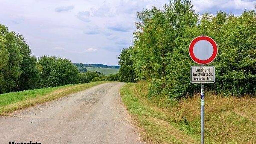 Land-/Forstwirtschaft zum Kauf 347.000 € 40.752 m² Grundstück Ippesheim 97258