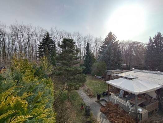 Doppelhaushälfte zum Kauf 459.000 € 4 Zimmer 115 m² 780 m² Grundstück Dölitz-Dösen Leipzig 04279