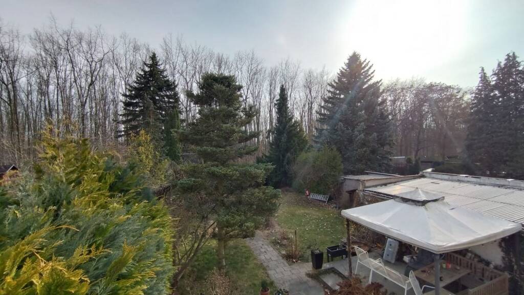 Doppelhaushälfte zum Kauf 459.000 € 4 Zimmer 115 m² 780 m² Grundstück Dölitz-Dösen Leipzig 04279