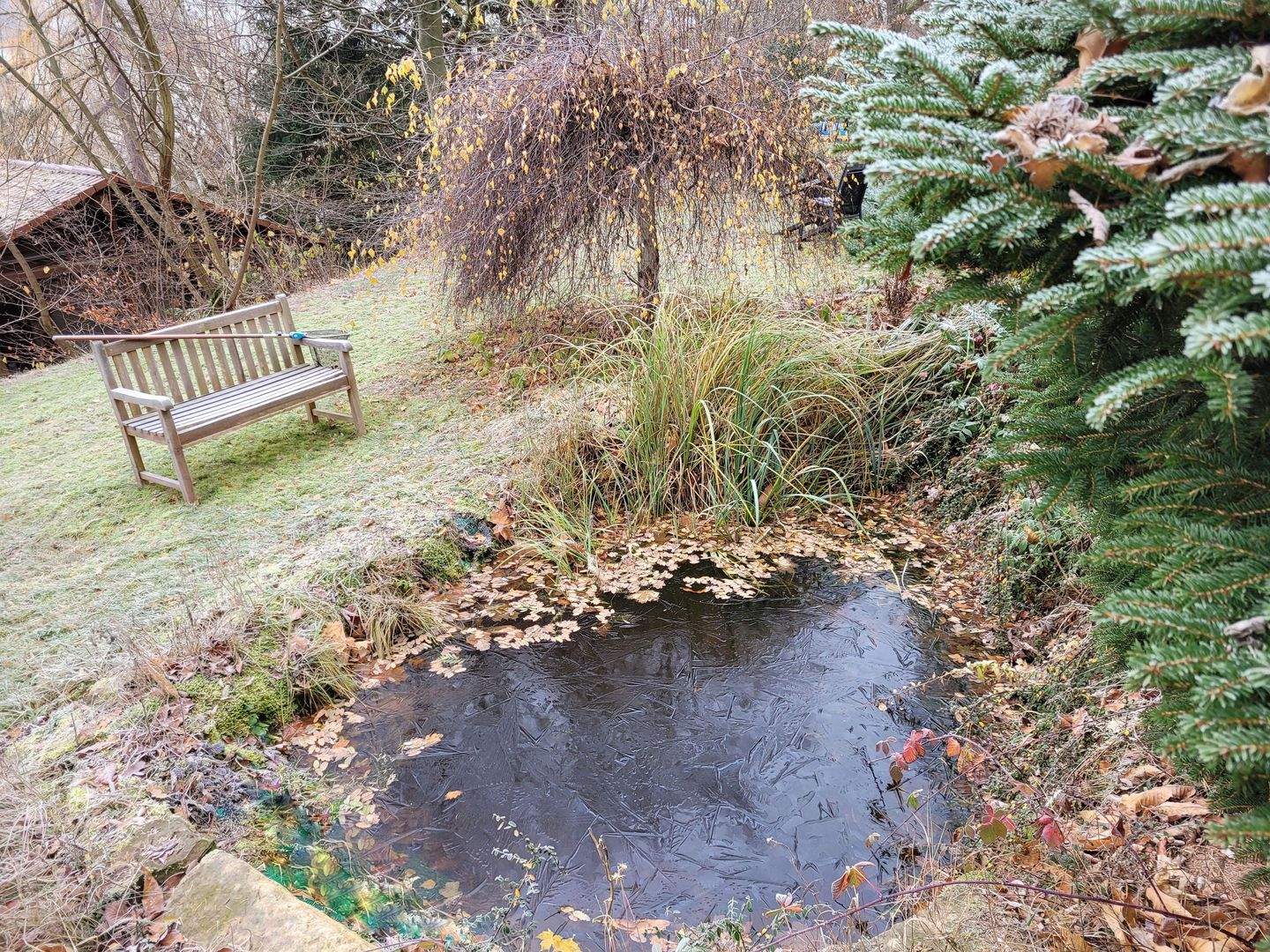 Immobilie in Waltershausen - Inselsbergblick von Traumgrundstück - Bild 1