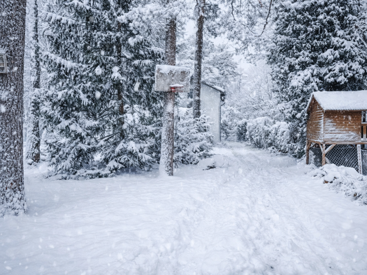 Grundstück zum Kauf 199.000 € 550 m² Grundstück Falkensee 14612