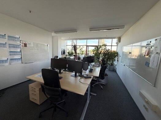 Bürofläche zur Miete provisionsfrei 10 € 271 m² Bürofläche Lange Straße 1 Innenstadt Braunschweig 38100