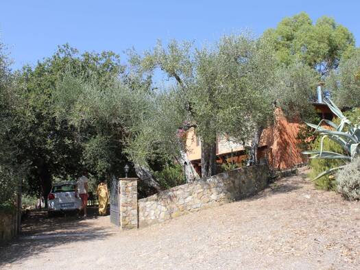 Immobilie zum Kauf 780.000 € 12 Zimmer 220 m² 35.000 m² Grundstück frei ab sofort Civitella Paganico 58023