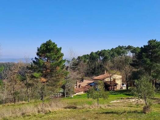 Einfamilienhaus zum Kauf 450.000 € 5 Zimmer 120 m² 13.000 m² Grundstück chianni 56030