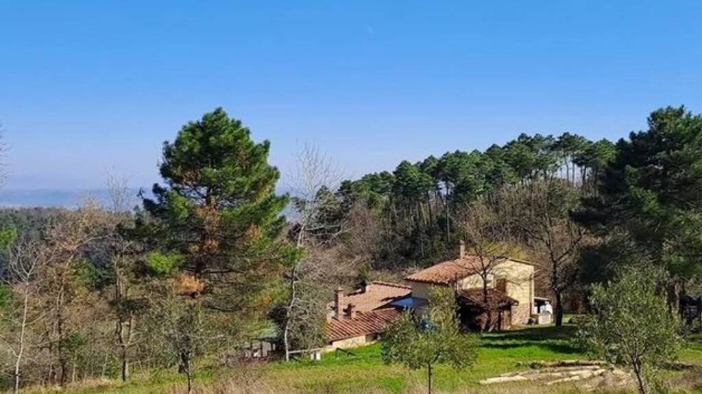 Einfamilienhaus zum Kauf 450.000 € 5 Zimmer 120 m² 13.000 m² Grundstück chianni 56030