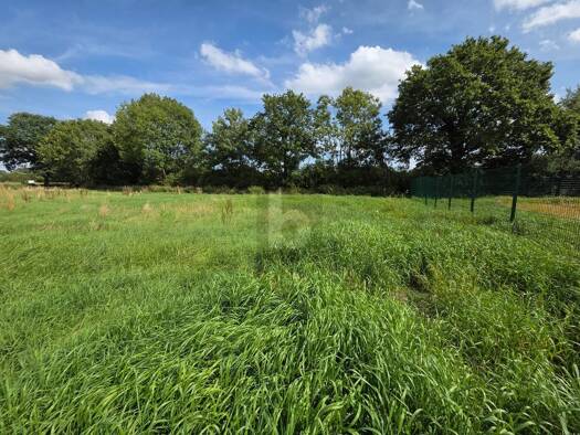 Grundstück zum Kauf 449.000 € 1.273 m² Grundstück Kisdorf 24629