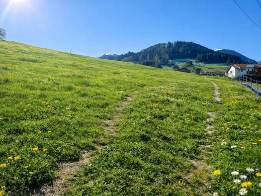 Grundstück zum Kauf 400.000 € 400 m² Grundstück Oberperfuss 6173