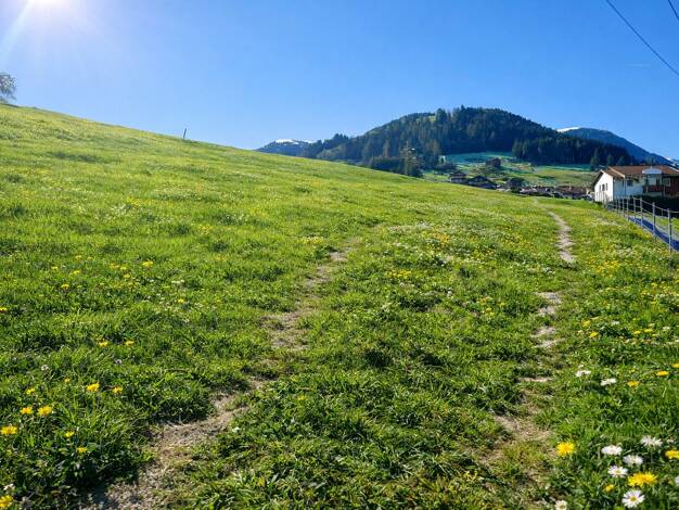 Grundstück zum Kauf 400 m² Grundstück Oberperfuss 6173