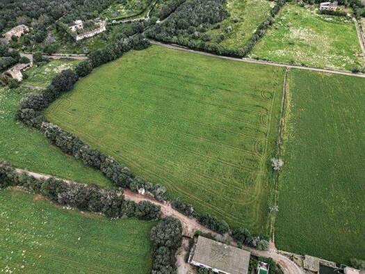 Grundstück zum Kauf 450.000 € 22.360 m² Grundstück Campos 07630