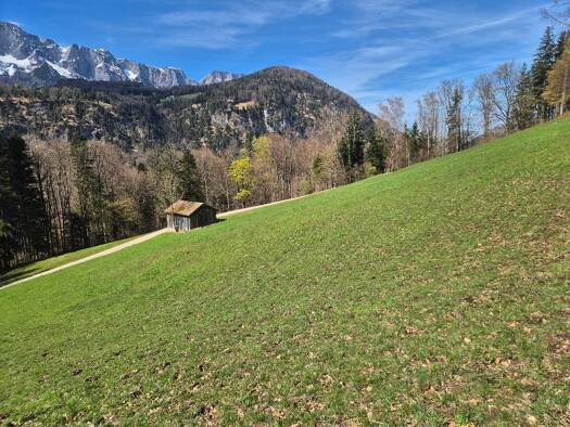 Grundstück zum Kauf 115.000 € 19.938 m² Grundstück frei ab sofort Marktschellenberg 83487