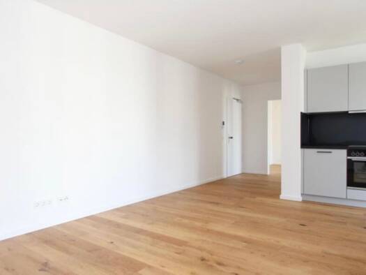 Penthouse zur Miete 1.375 € 2 Zimmer 58 m² Geschoss -3/3 frei ab 01.03.2026 Freising 85354