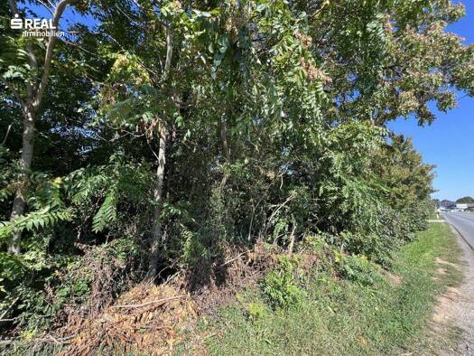 Grundstück zum Kauf 249.000 € 1.191 m² Grundstück Gänserndorf 2230