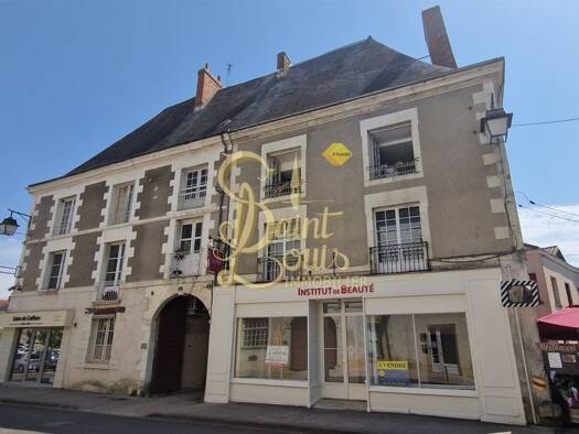 Haus zum Kauf 210.000 € 245 m² Richelieu 37120