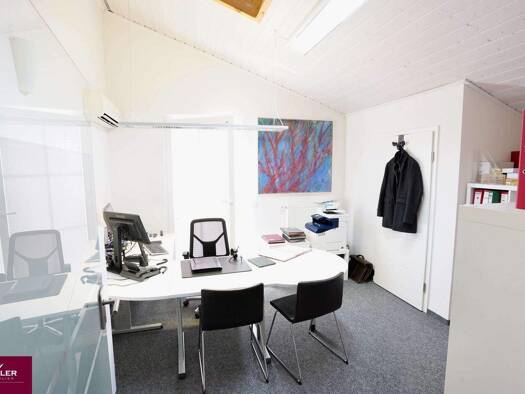 Bürogebäude zur Miete 1.900 € 8 Zimmer 235,1 m² Bürofläche Breisach Breisach am Rhein 79206