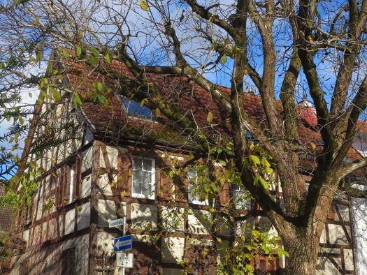 Haus zum Kauf 368.000 € 5 Zimmer 121,2 m² 276 m² Grundstück frei ab sofort Wasenstrasse 3 Neckargröningen Remseck am Neckar 71686