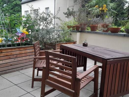 Terrassenwohnung zur Miete 449 € 2 Zimmer 42 m² Geschoss 1/5 frei ab sofort Zentrum Bonn 53111