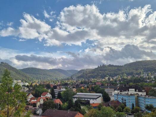 Wohnung zum Kauf provisionsfrei 219.000 € 3 Zimmer 100 m² Geschoss 3/6 frei ab 01.02.2027 Bad Harzburg Bad Harzburg 38667