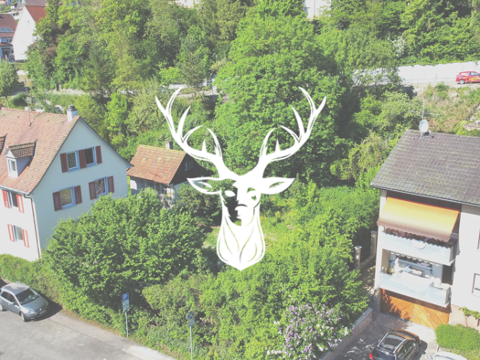 Grundstück zum Kauf 299.000 € 700 m² Grundstück Waldshut-Tiengen 79761