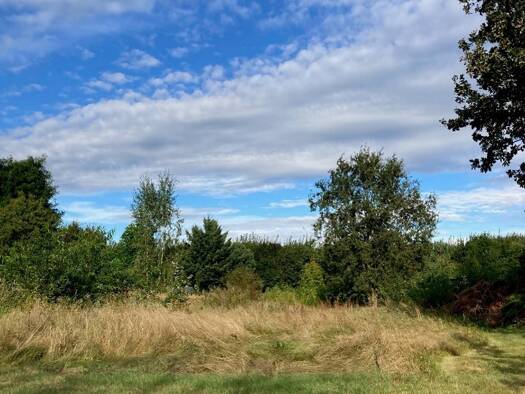 Grundstück zum Kauf 163.000 € 1.524 m² Grundstück Alt Golm Alt Golm / Rietz Neuendorf 15848
