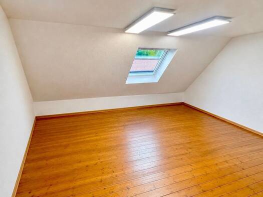 Wohnung zur Miete 4 Zimmer 190 m² 1. Geschoss frei ab 01.01.2027 Windthorststraße 56 Schinkel-Ost Osnabrück 49084