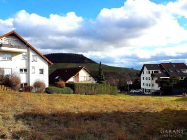 Terrassenwohnung zur Miete 720 € 2 Zimmer 60 m² frei ab 01.03.2025 Erlenbach Erlenbach 74235