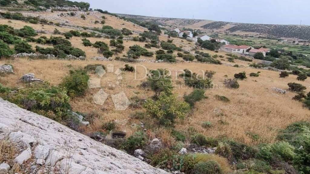 Land-/Forstwirtschaft zum Kauf 162.000 € Kolan