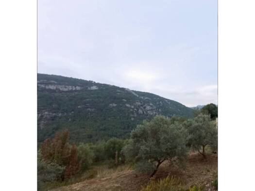 Acker-/Waldstück zum Kauf 45.000 € Castell de Castells 03793