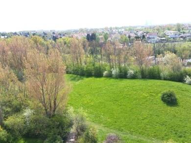 Wohnung zur Miete 387 € 3 Zimmer 57,3 m² 9. Geschoss frei ab sofort Mailänder Höhe 6 Südstadt Halle (Saale) 06128