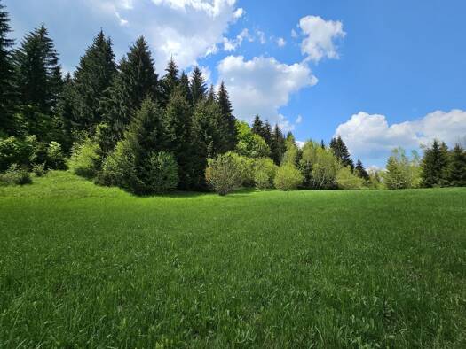 Gewerbegrundstück zum Kauf 156.000 € Skrad 51311