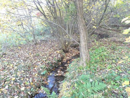 Grundstück zum Kauf 128.000 € 3.137 m² Grundstück Kimbach Bad König 64732