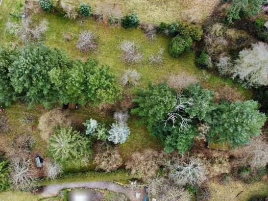 Freizeitgrundstück zum Kauf 63.000 € 1.734 m² Grundstück Bad Dürkheim Mundhardterhof 67098