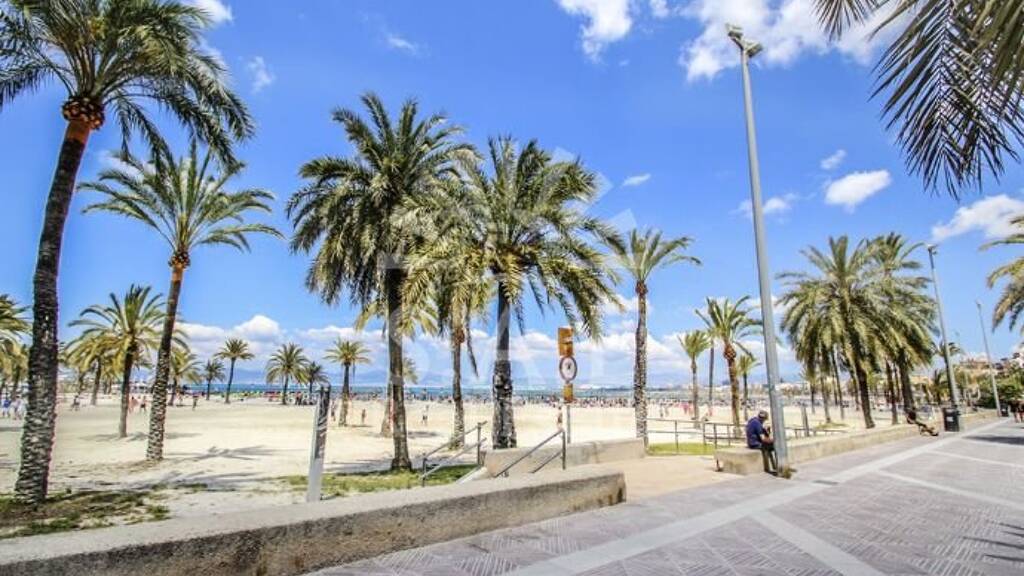 Mehrfamilienhaus zum Kauf 3.000.000 € 1.350 m² 640 m² Grundstück PALMA DE MALLORCA