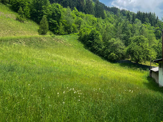 Grundstück zum Kauf 104.500 € 418 m² Grundstück Taxenbach 5660