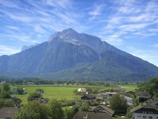 Grundstück zum Kauf 1.480.000 € 1.000 m² Grundstück Anif 5081