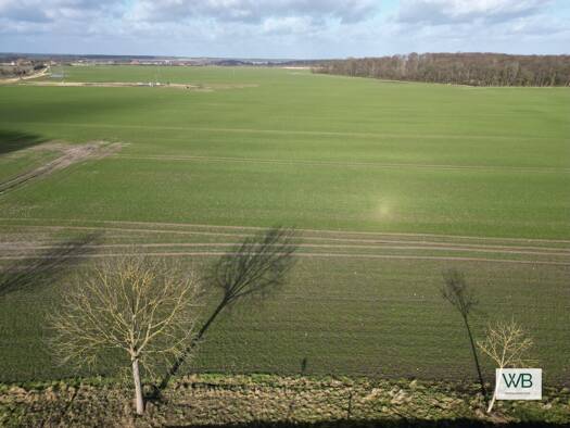 Grundstück zum Kauf 80.000 € 3.000 m² Grundstück Ritze Salzwedel 29410