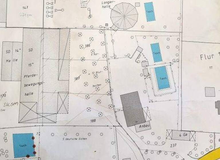 Haus zum Kauf 990.000 € 8 Zimmer 340 m² 4.349 m² Grundstück frei ab 01.05.2026 Wannwicker Straße 17 Rees 46459