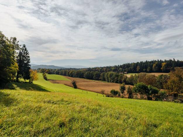 Land-/Forstwirtschaft zum Kauf 200.000 € 2.798 m² Grundstück Schrötten 41 Hengsberg 8411