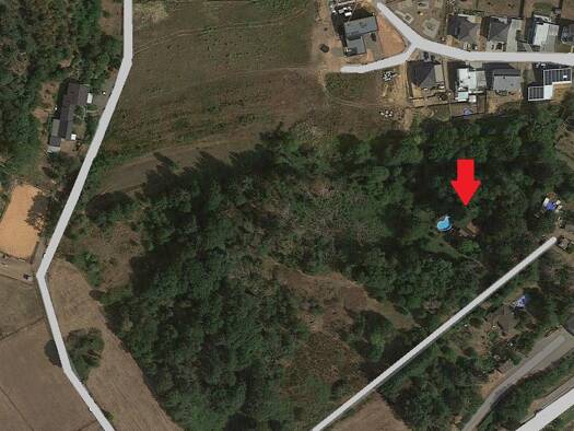 Haus zum Kauf 150.000 € 2 Zimmer 60 m² 7.530 m² Grundstück frei ab sofort Nunkirchen Wadern 66687